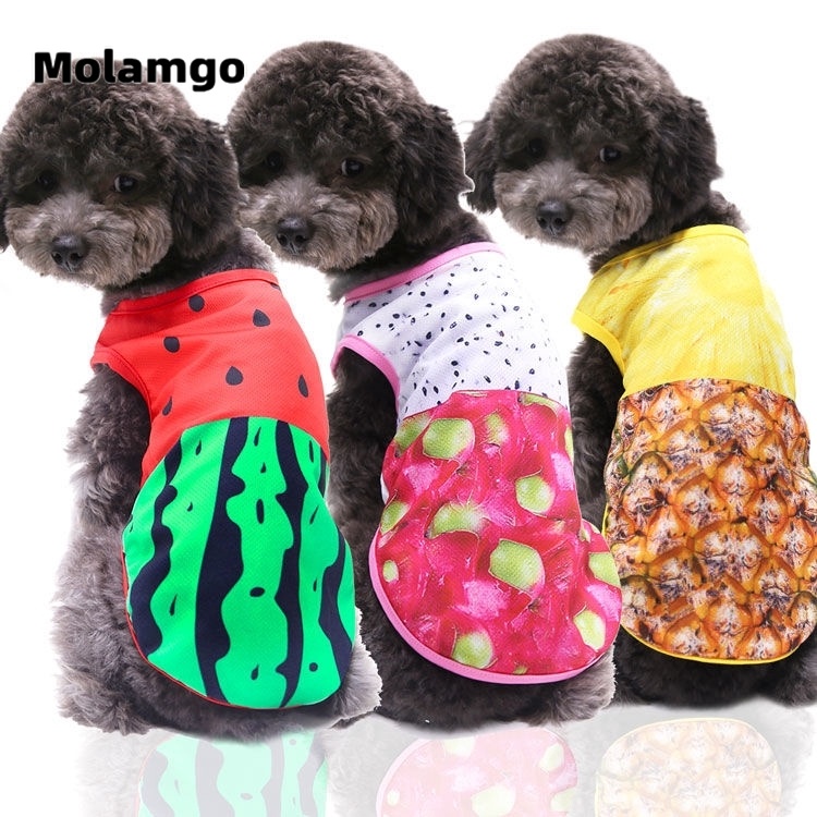 Áo Khoác Sát Nách Phối Lưới Thoáng Khí Cho Cún Cưng