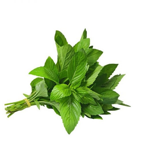 Hạt giống húng trắng ( rau thơm sả ) gói 2gram