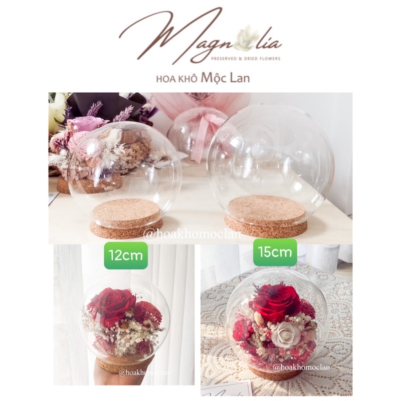 Quả cầu chụp thuỷ tinh (rỗng) vật dụng trang trí decor để bàn