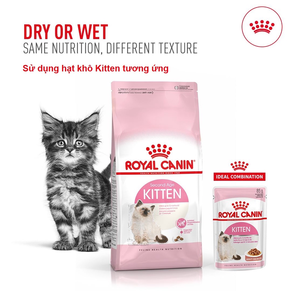 Royal Canin Kitten pate gói cho mèo con 85g