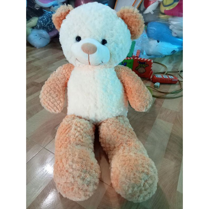 Gấu teddy 80cm phá màu xinh xắn