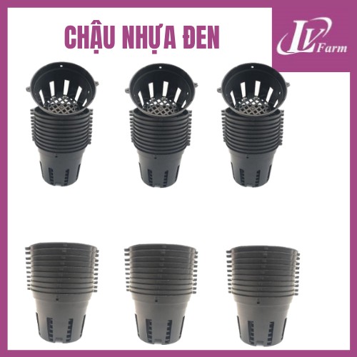 Chậu Nhựa Đen F21 Trồng Hoa Lan, Cây Cảnh - Phi 21cm