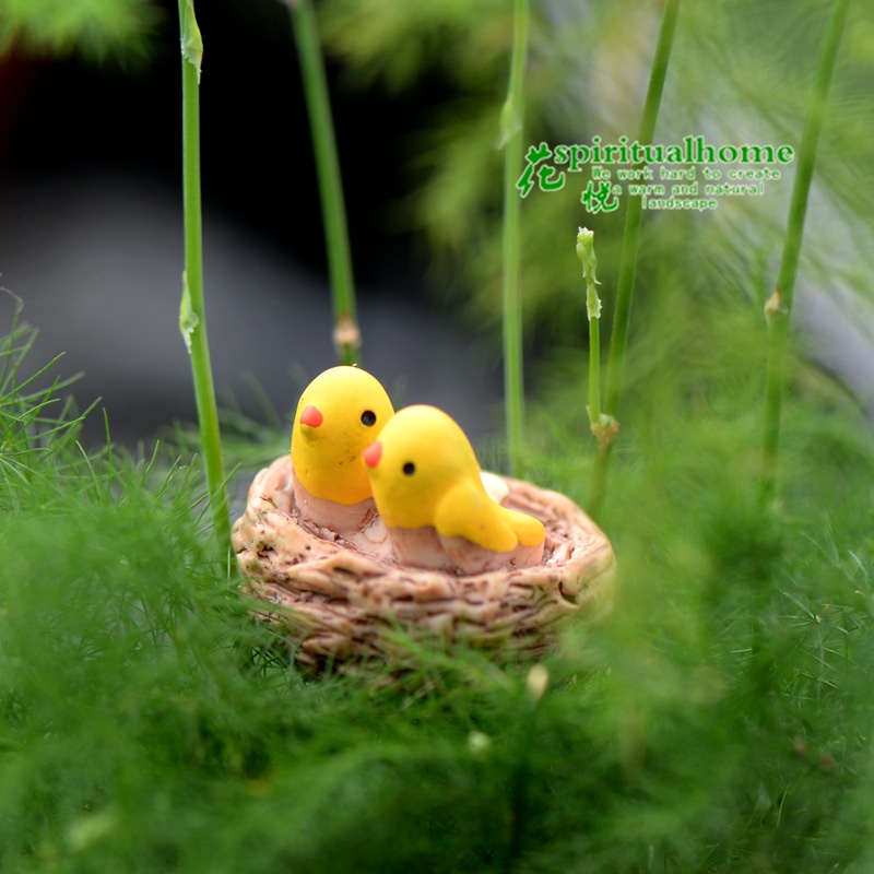 Tiểu cảnh mini ❤️H052 ❤️ Tổ chim mini trang trí tiểu cảnh, sen đá, terrarium