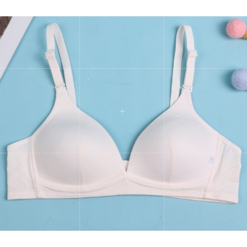 Bra / Áo Ngực Cotton Nữ Sinh Xuất Đông Âu ( A202 ). | BigBuy360 - bigbuy360.vn