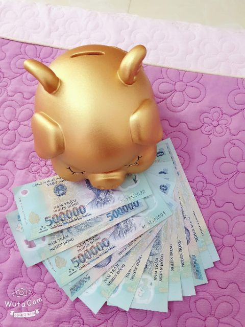 LỢN ĐẤT CÁNH TIÊN | BigBuy360 - bigbuy360.vn