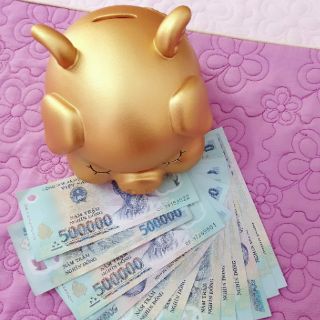 Heo thiên thần, heo cánh tiên