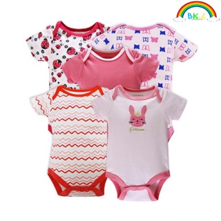 Set 5 body xuất