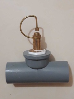 T ren trong nối béc phi 21