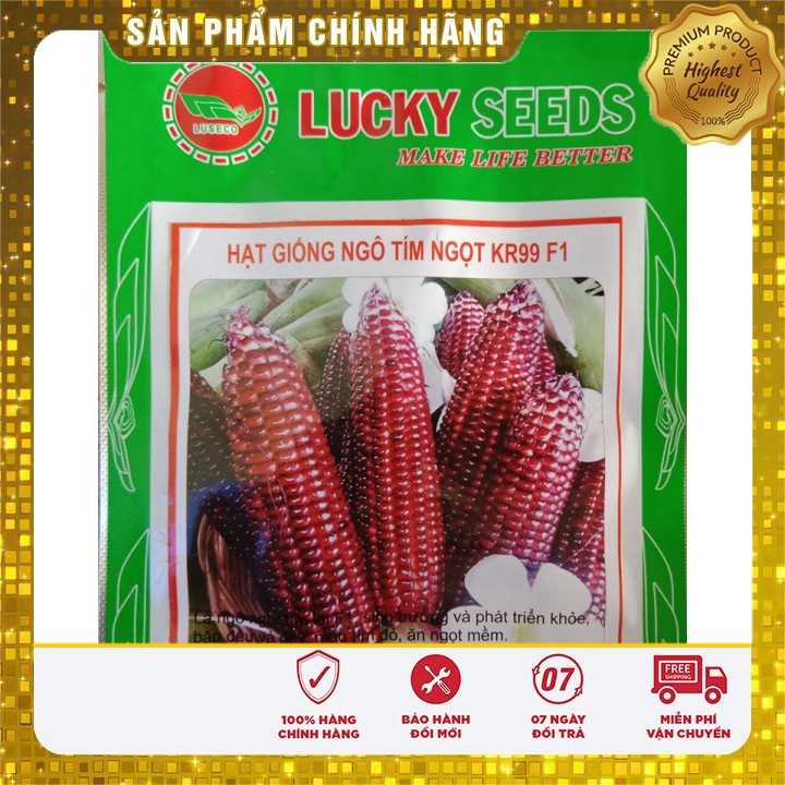 Hạt giống ngô tím ngọt - 5gr hạt giống ngô