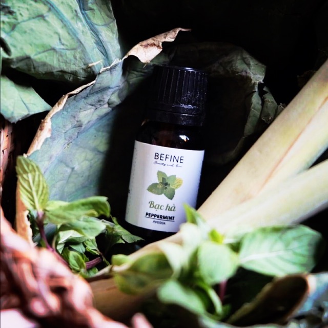 Tinh dầu bạc hà 10ml