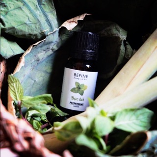 Tinh dầu bạc hà 10ml