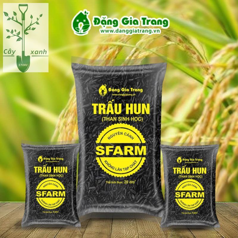 Trấu hun – Than sinh học