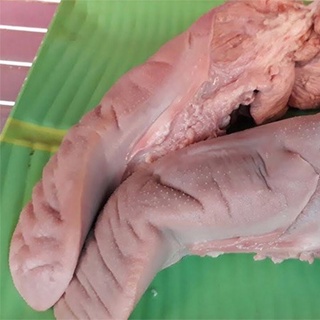 1kg lưỡi heo nhập khẩu - chỉ giao hoả tốc hà nội