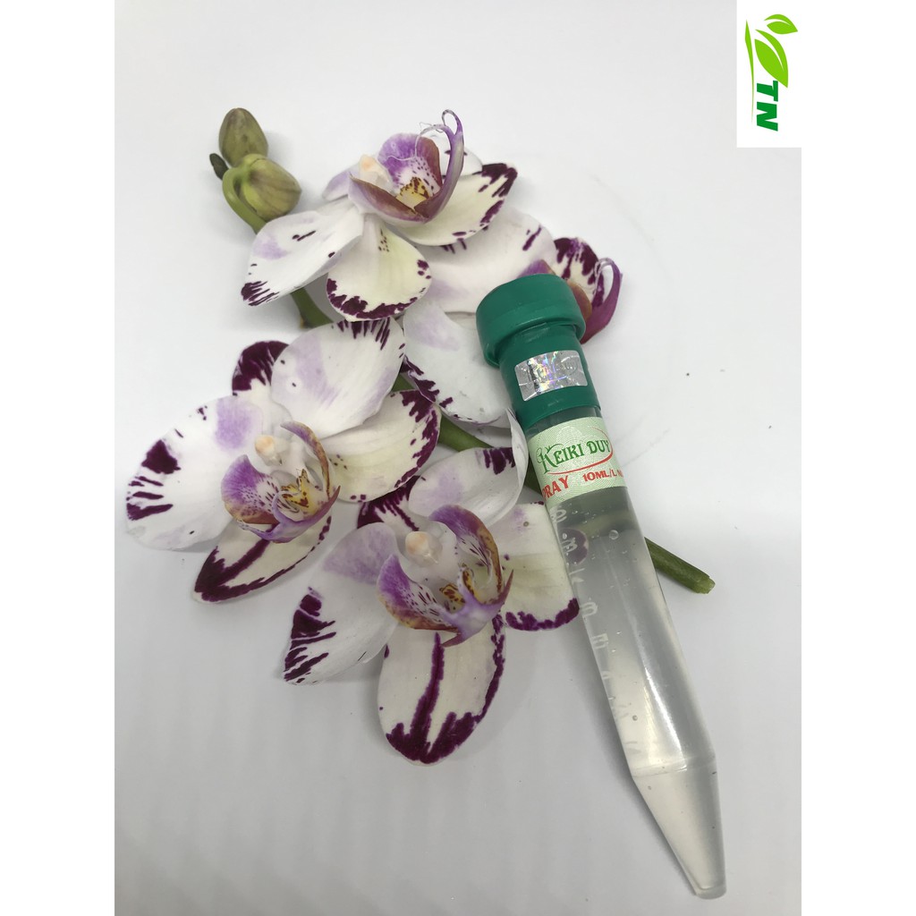 Kích Kie Duy Xanh ống 10ml - Thần dược cho lan