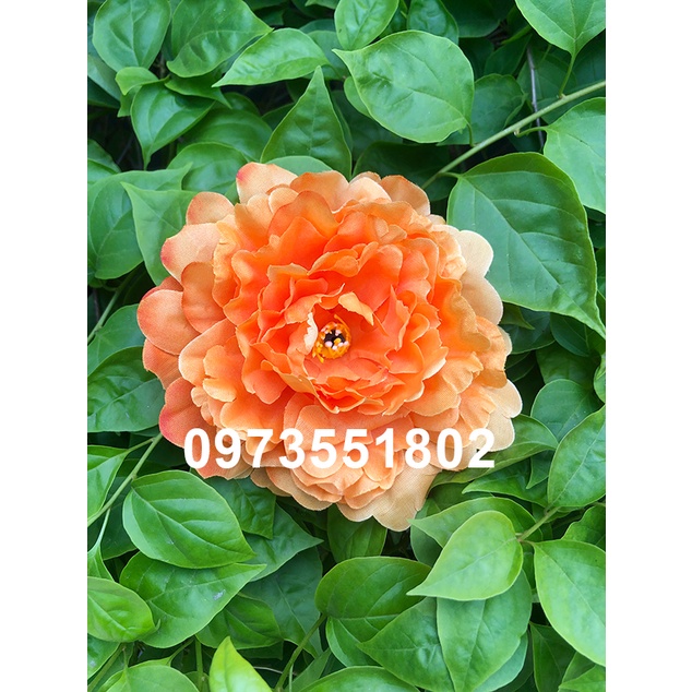 Đầu bông mẫu đơn trang trí size lớn