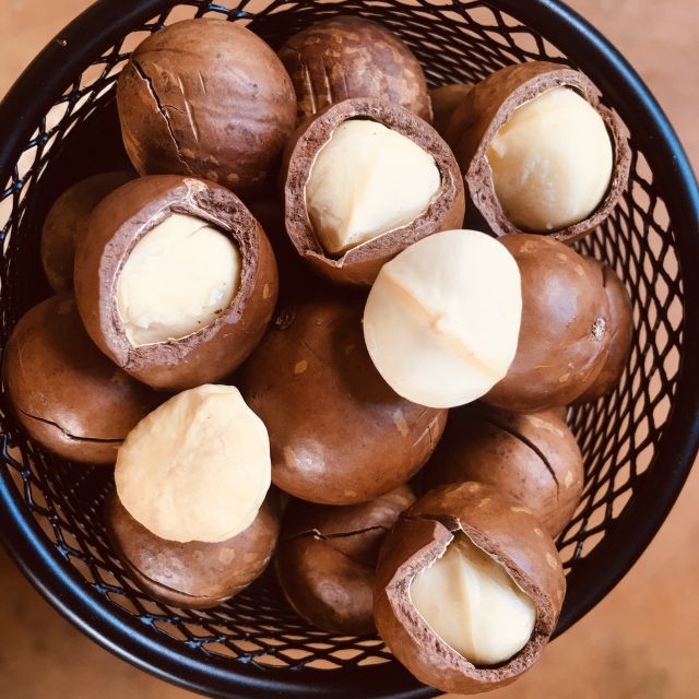 1kg hạt Macca daklak size to (22-26) đã sấy nứt ăn ngay (2 túi 500g)
