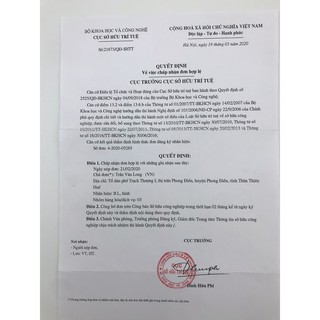 Tinh dầu tràm Bảo Long: Chai 100ml