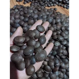 1kg hạt Sachi rang muối nhà làm