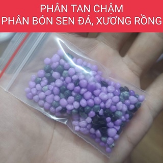 Phân tan chậm - Phân bón sen đá, xương rồng thông minh