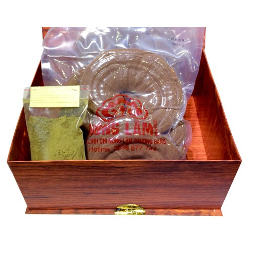 Linh Chi Nông Lâm Thượng Hạng | BigBuy360 - bigbuy360.vn