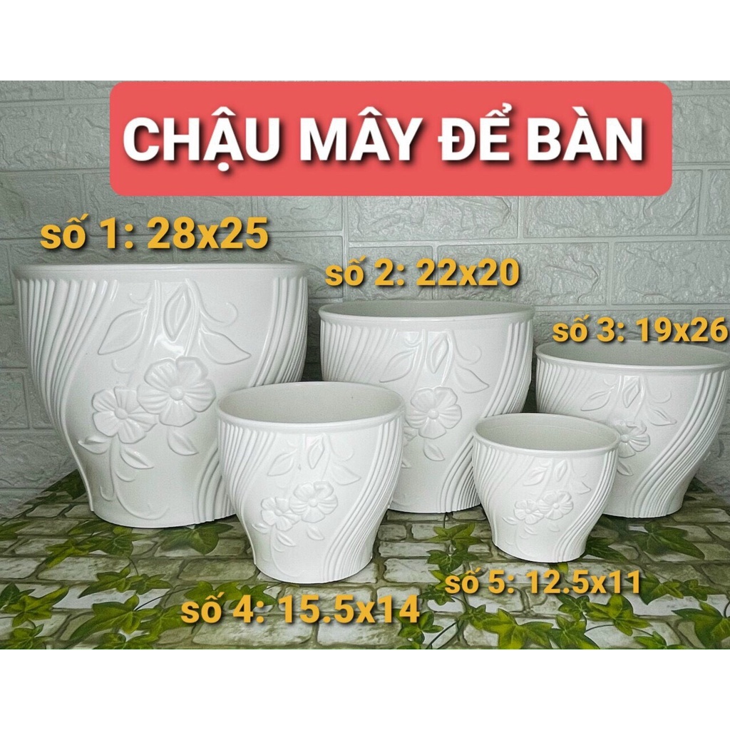 Chậu nhựa Mây để bàn đủ size - ảnh thật