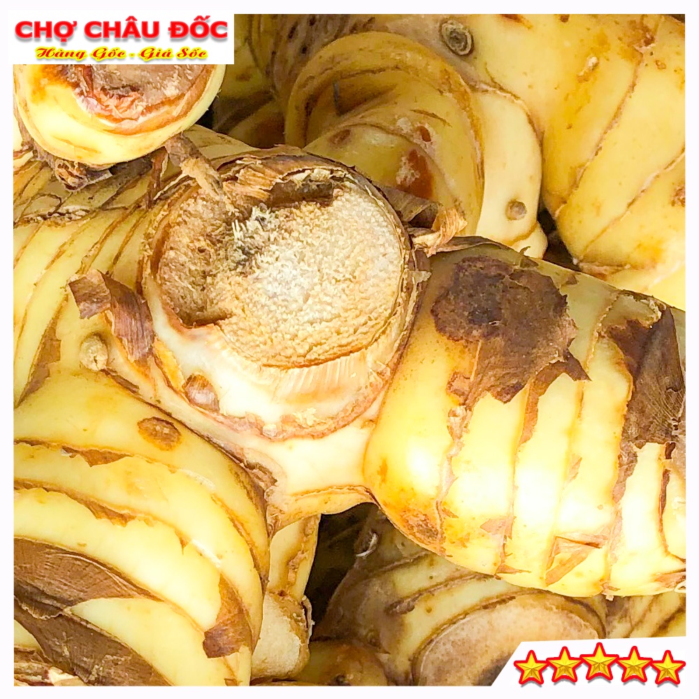 500gr Củ Riềng Tươi Vùng Thất Sơn Dùng Làm Gia Vị Và Dược Liệu