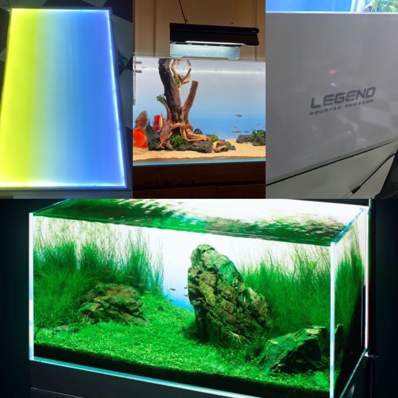 Light Screen LEGEND giá canh SALE - LEGEND AQUA