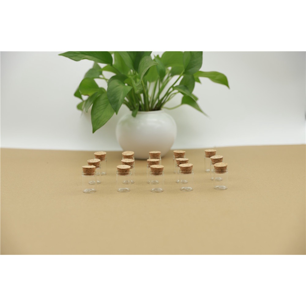 Set 10 lọ thủy tinh mini 22*30mm 5ml có nút bần tiện lợi