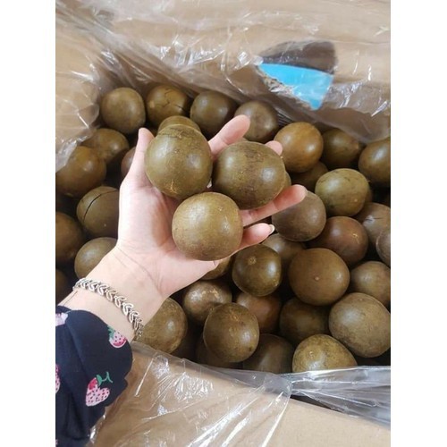 Gói 30 Quả La Hán Hàng Đẹp Loại 1 Quả To Già Ngọt Chắc - Tây Sơn Food