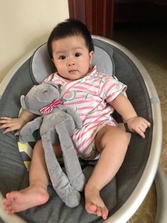 Thỏ, voi, gấu, cừu bông cho bé