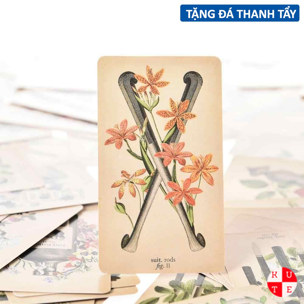 Bộ Bài Tarot The Antique Anatomy 78 Lá Bài Tặng File Tiếng Anh Và Đá Thanh Tẩy C118