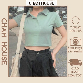 Áo croptop polo basic tay ngắn - Áo thun nữ borip cực dễ thương