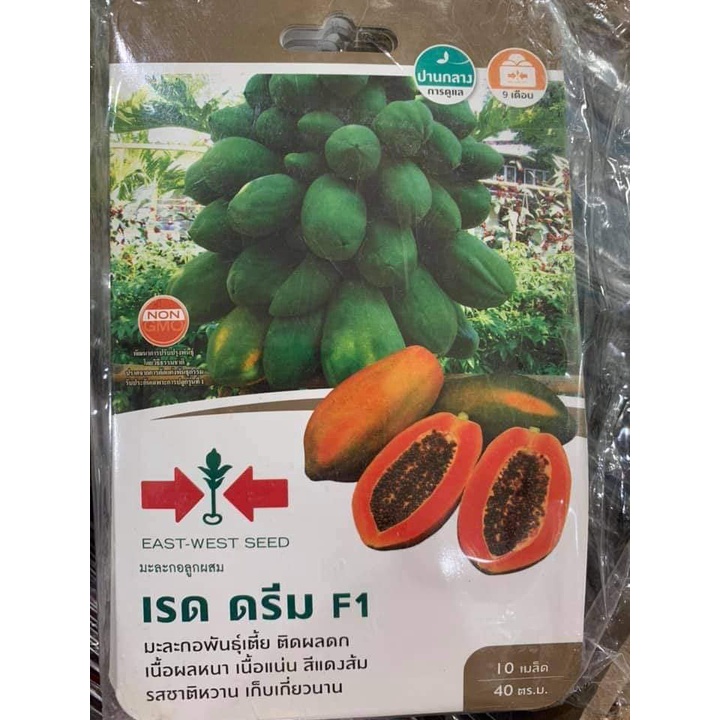 Hạt giống Đu đủ lùn ruột cam hà lan siêu quả nhập thái lan nguyên gói 10 hạt_Hạt đu đủ lùn ruột đỏ