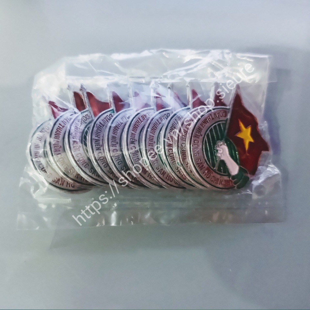 Huy hiệu đoàn, huy hiệu đội cài áo