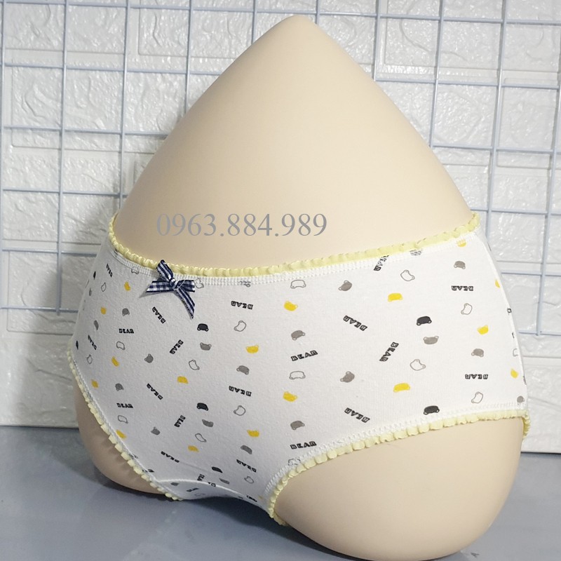 Quần lót nữ QN.06 chất cotton nhiều màu cho chị em , in hình trái cây ngộ nghĩnh