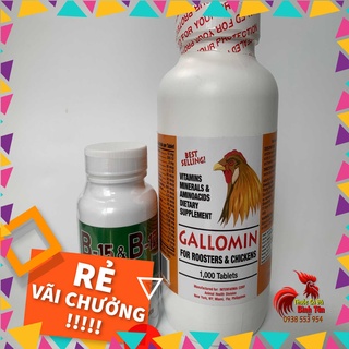 Gallomin Và B15 B12 Combo Thuốc Nuôi Gà Chế Độ Đá Hiệu Quả (2 Loại 200 Viên)