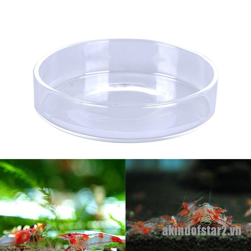Đĩa tròn bằng thuỷ tinh trong suốt đựng thức ăn cho tôm