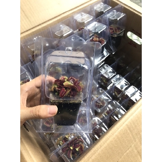 Combo 4 cây bẫy mồi , bẫy kẹp , bắt mồi