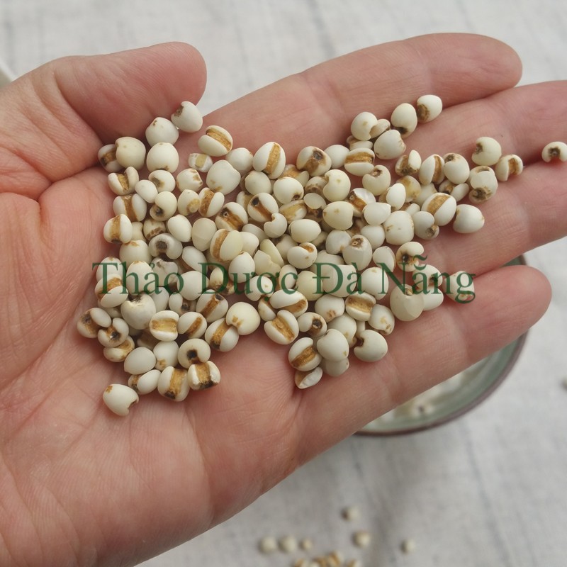 Ý Dĩ Nếp hạt lớn chuẩn loại 1_ 200 gram.