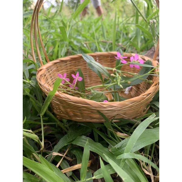 Giỏ tre mini