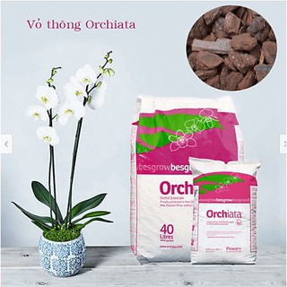 Vỏ Thông Orchiata nhập khẩu bao 35 lít