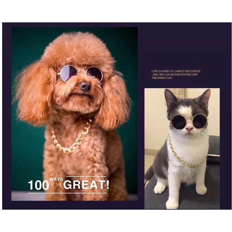 Kính mát chụp ảnh đáng yêu cho thú cưng