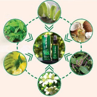 ️ Tóc Haco - Xịt Tóc Mao Bạt Khang