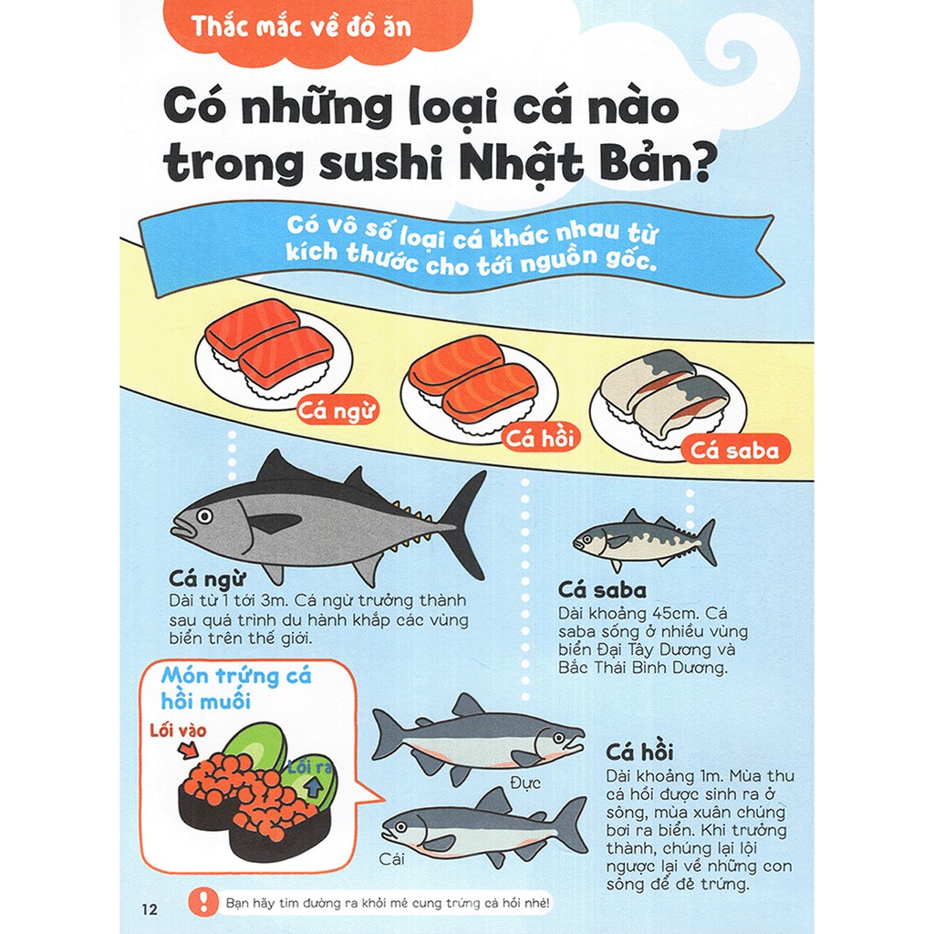Sách - Gi gỉ gì gi cái gì cũng biết (Dành cho lớp 2)