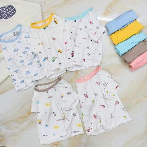 Bộ cộc tay thun lạnh Avalen túi zip