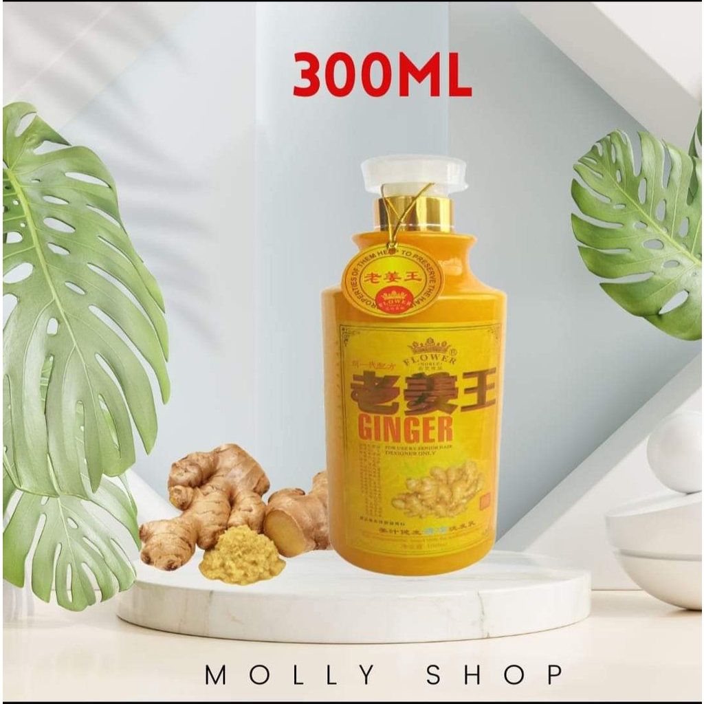 DẦU GỘI XẢ GỪNG KÍCH THÍCH MỌC TÓC CHĂM SÓC TÓC DƯỠNG SINH