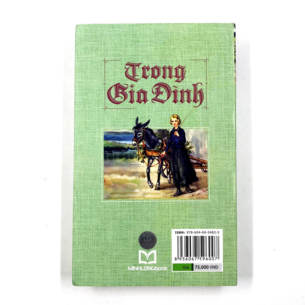 Sách - Trong gia đình - Hector Malot