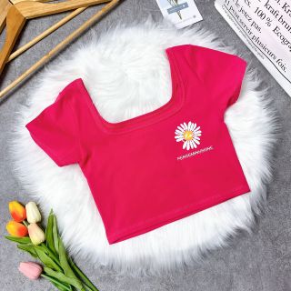 Áo bông cúc bozip cổ U ( HÌNH THẬT )
