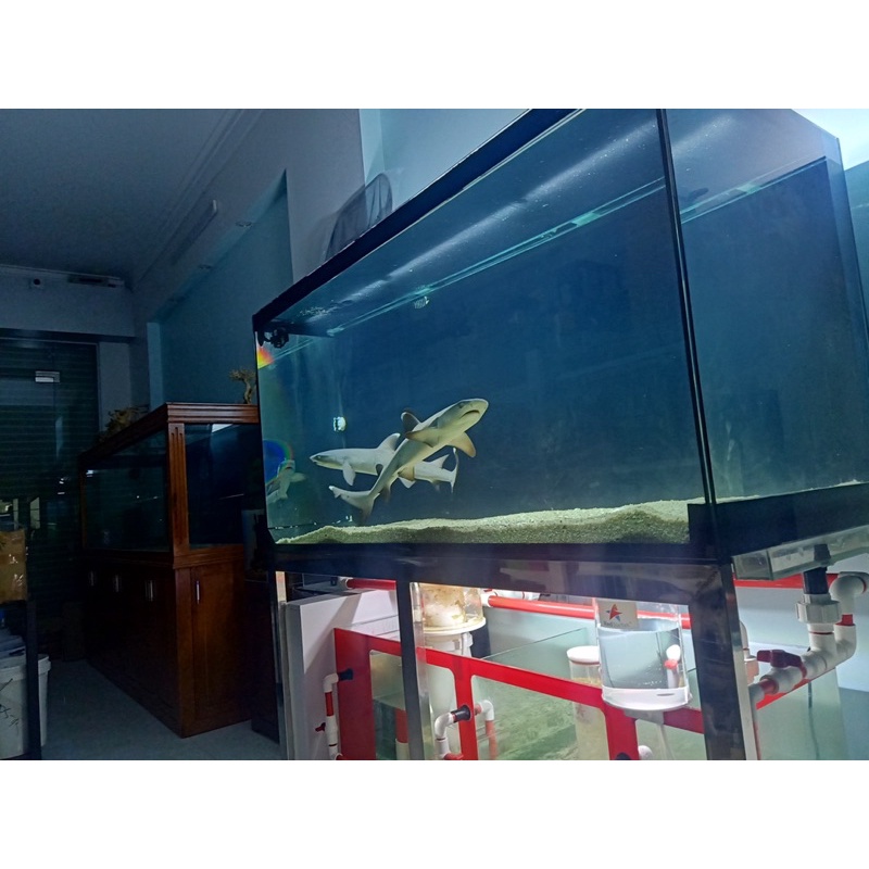 Muốí biển Ocean Master - 6.7kg