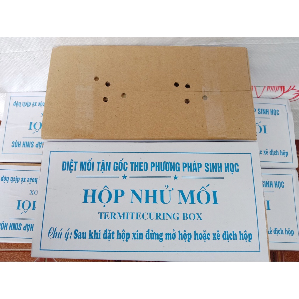 Hộp nhử mối sinh học